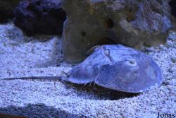 Erlebnispark Meeresaquarium Zella-Mehlis