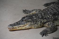 Erlebnispark Meeresaquarium Zella-Mehlis