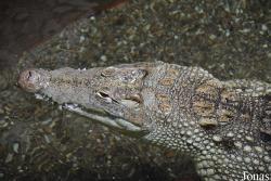 Erlebnispark Meeresaquarium Zella-Mehlis