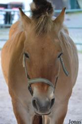 Tierpark Suhl