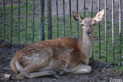 Tierpark Suhl