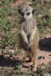 Tierpark Suhl