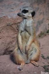 Tierpark Suhl