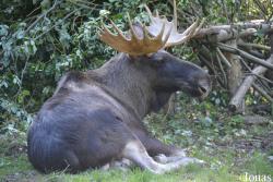 Tierpark Suhl