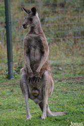 Thüringer Zoopark Erfurt