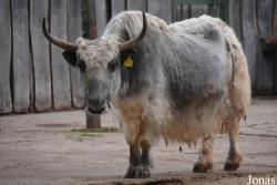 Thüringer Zoopark Erfurt