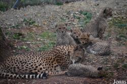 Thüringer Zoopark Erfurt