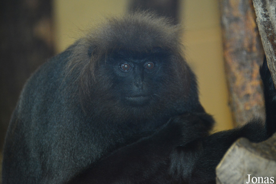 Thüringer Zoopark Erfurt