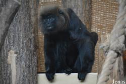 Thüringer Zoopark Erfurt