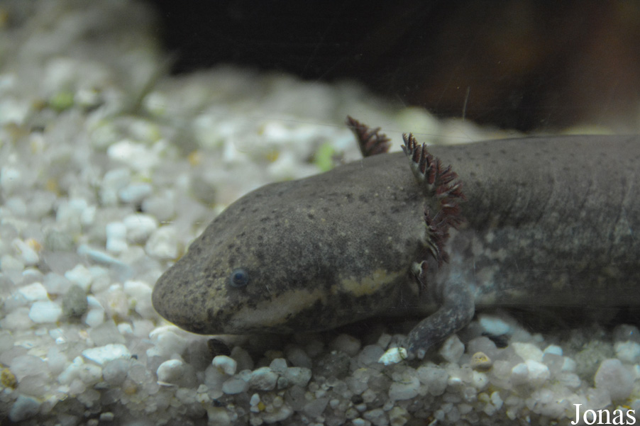 Exotarium Oberhof