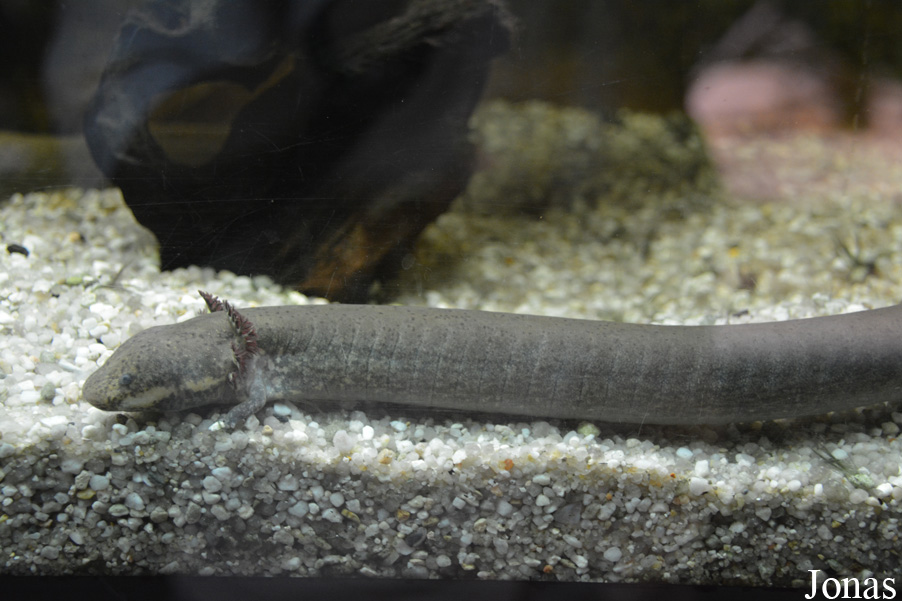 Exotarium Oberhof