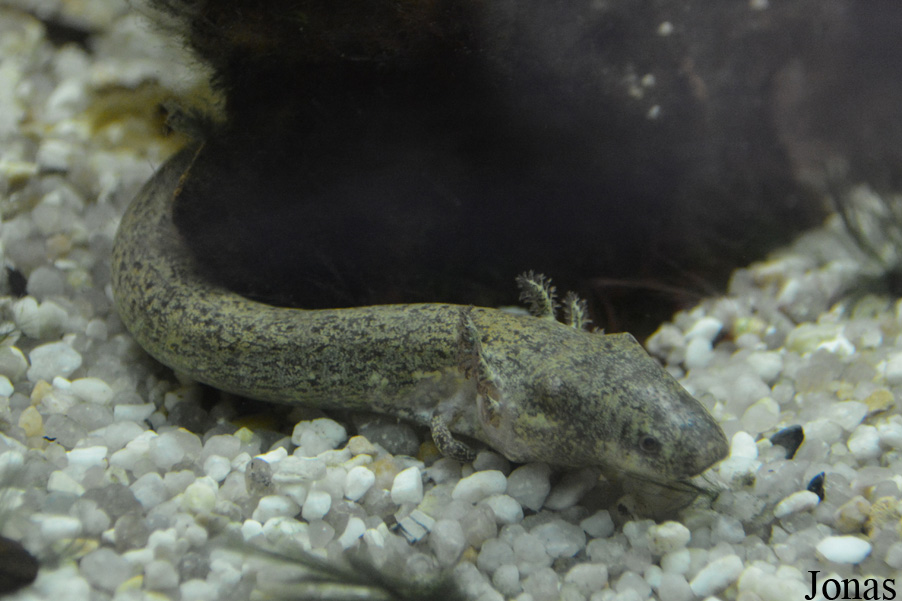 Exotarium Oberhof