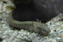 Exotarium Oberhof