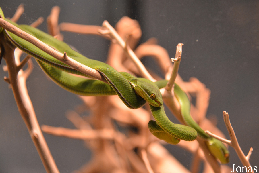 Exotarium Oberhof