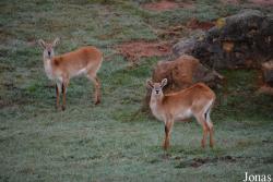Parque de la Naturaleza de Cabárceno