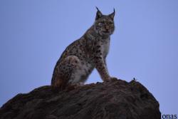 Parque de la Naturaleza de Cabárceno