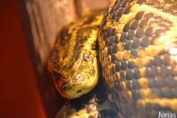 Zoo de Santillana
