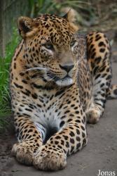 Zoo de Santillana