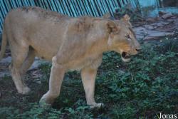 Jardín Zoológico de La Habana