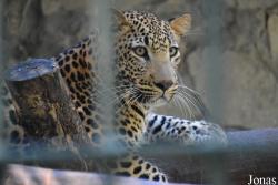 Jardín Zoológico de La Habana