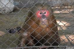 Jardín Zoológico de La Habana