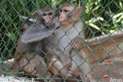 Jardín Zoológico de La Habana