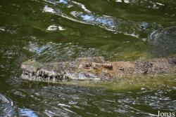 Jardín Zoológico de La Habana