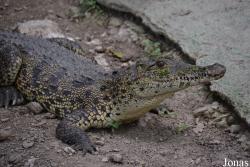 Jardín Zoológico de La Habana