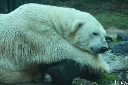 The Maryland Zoo in Baltimore