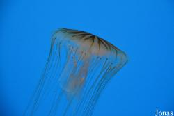 National Aquarium