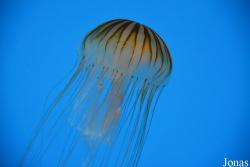 National Aquarium