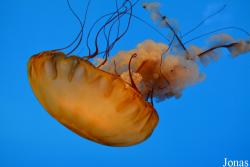 National Aquarium