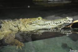 National Aquarium