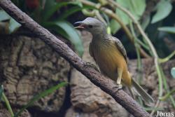 Central Park Zoo