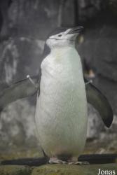 Central Park Zoo