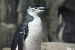 Central Park Zoo