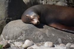 Central Park Zoo
