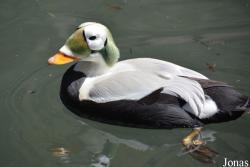 Central Park Zoo