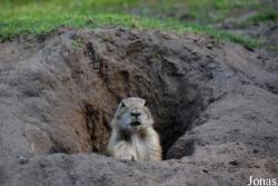 Tierpark Nordhorn