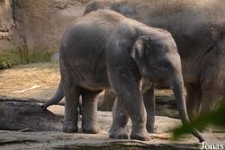 Wildlands Adventure Zoo Emmen