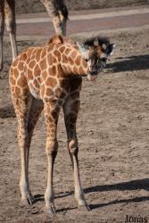 Wildlands Adventure Zoo Emmen