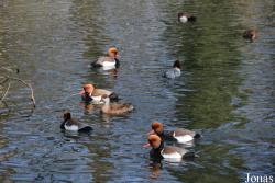 Tierpark Lange Erlen