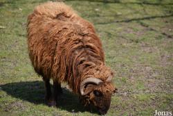Tierpark Lange Erlen