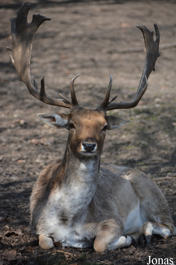 Tierpark Lange Erlen