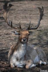 Tierpark Lange Erlen