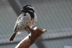 Tierpark Dählhölzli