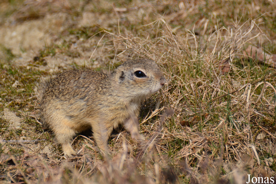 Tierpark Dählhölzli