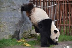 Pairi Daiza