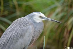 Dierenpark Planckendael