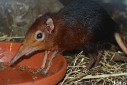 Zoo Antwerpen